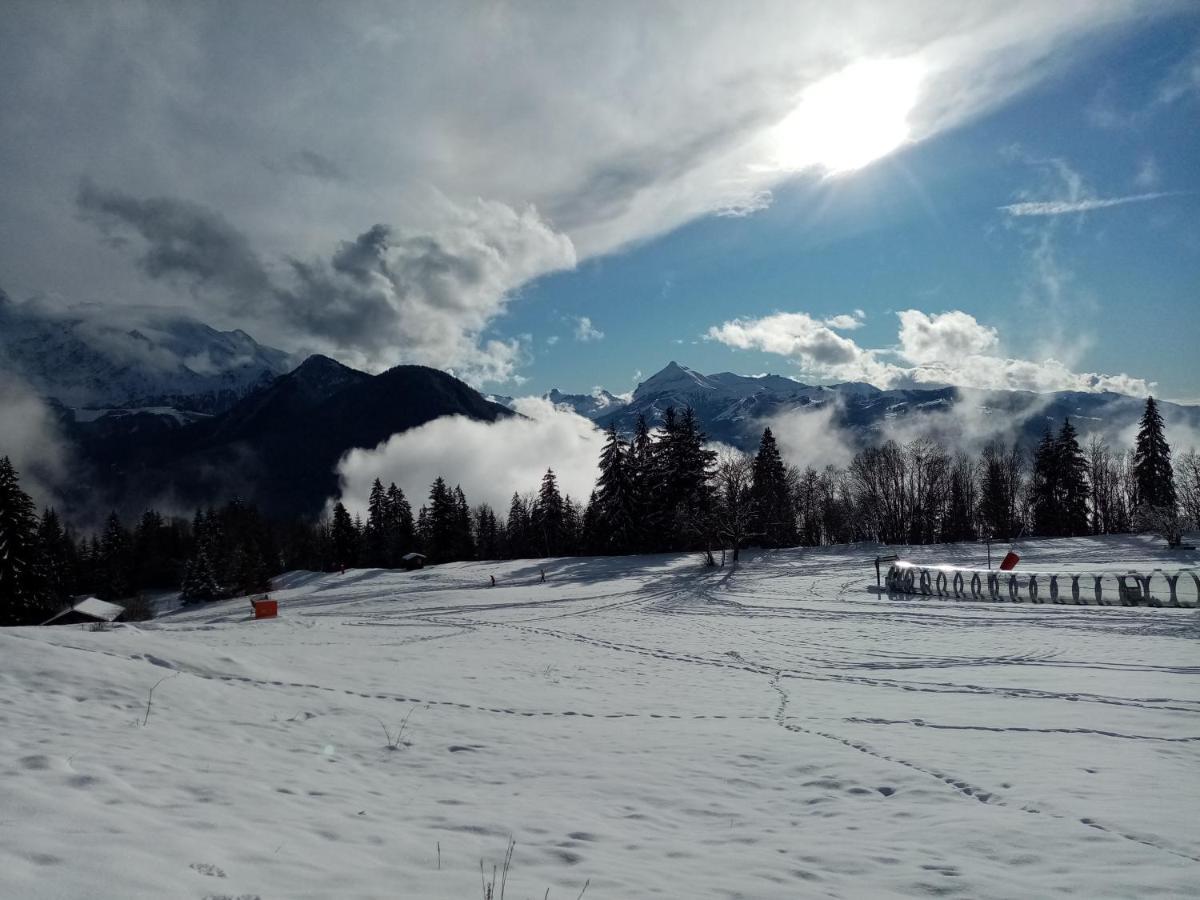 شقة Mont Etape , F2, 42 M2, Calme, Vue Mt Blanc باسي المظهر الخارجي الصورة