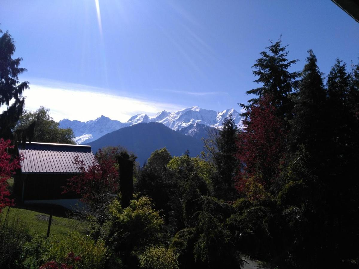 شقة Mont Etape , F2, 42 M2, Calme, Vue Mt Blanc باسي الغرفة الصورة